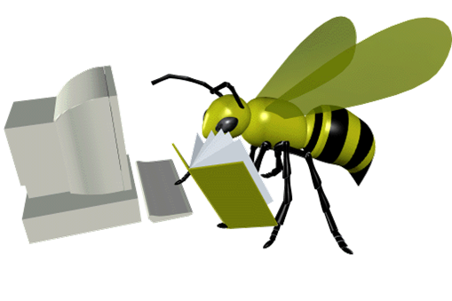 Information Research: BCS-CA-9